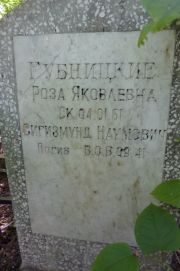 Губницкий Сигизмунд Наумович, Москва, Востряковское кладбище